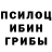 Псилоцибиновые грибы мухоморы Ruslan Wischnewski