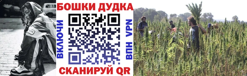 Канабис планчик  где купить наркоту  Электроугли 
